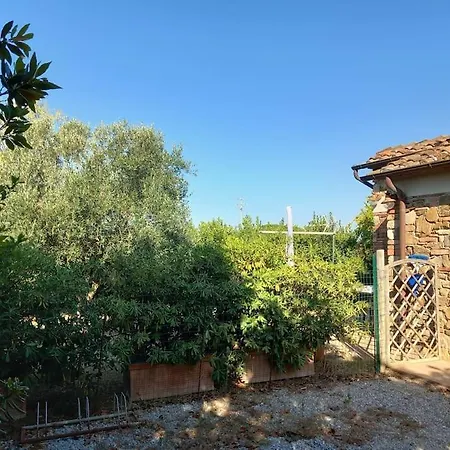 Monolocale Per Due Le Pinete A Apartment *