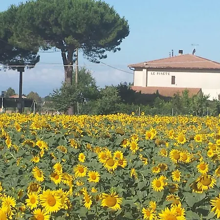 Apartment Monolocale Per Due Le Pinete A Riotorto