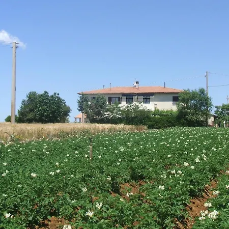 Monolocale Per Due Le Pinete A 아파트 *