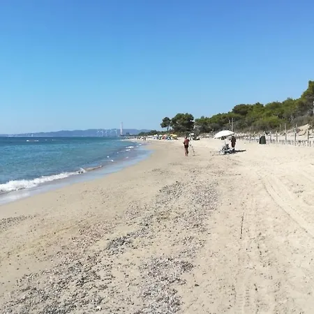 Monolocale Per Due Le Pinete A 아파트