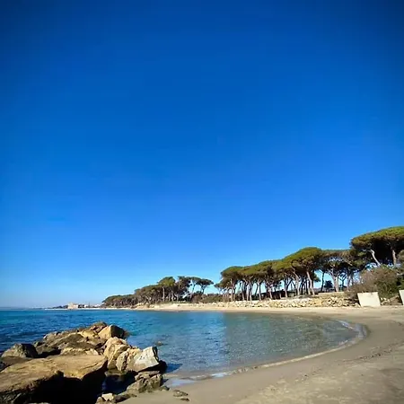 Monolocale Per Due Le Pinete A Apartment *