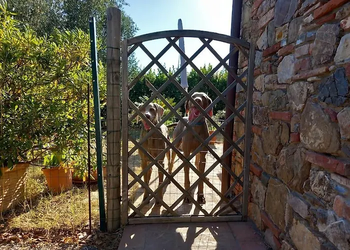 Monolocale Per Due Le Pinete A * 리오토토