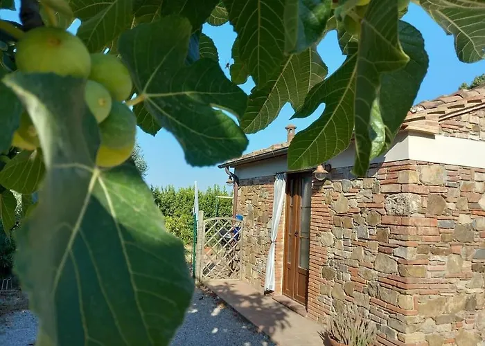 Monolocale Per Due Le Pinete A *