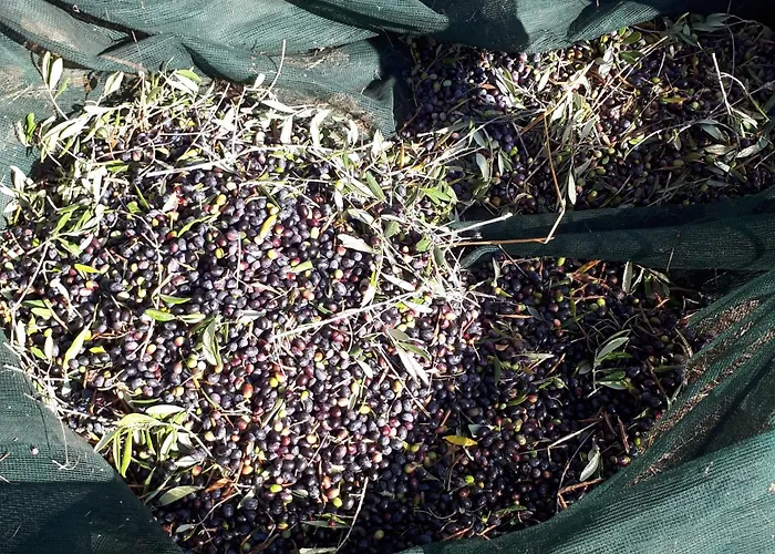 Monolocale Per Due Le Pinete A