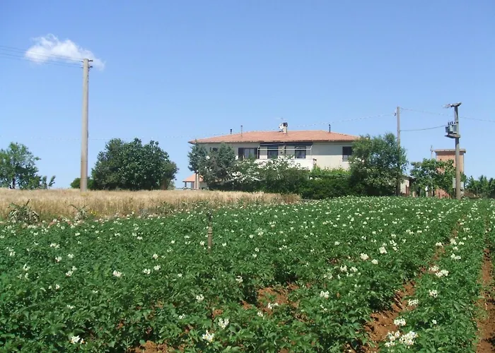 Monolocale Per Due Le Pinete A 아파트 *