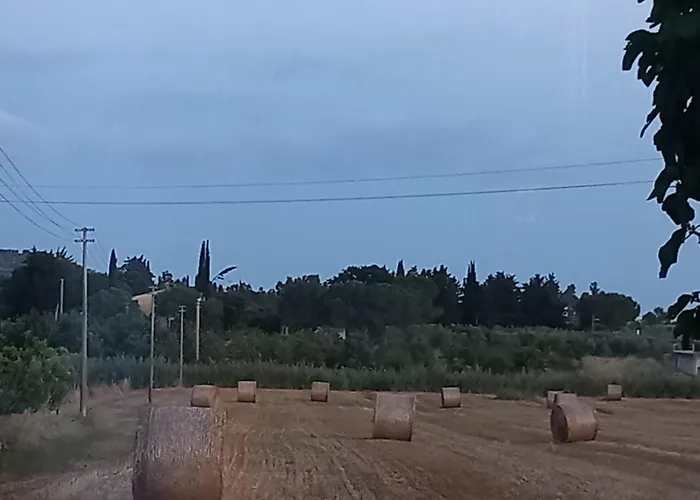 Monolocale Per Due Le Pinete A * 리오토토