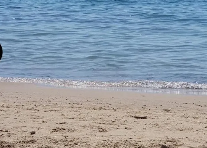 Monolocale Per Due Le Pinete A 아파트 리오토토