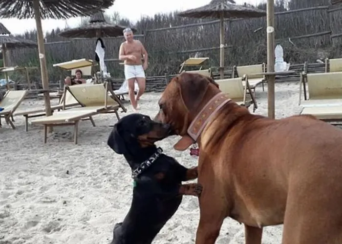 Monolocale Per Due Le Pinete A