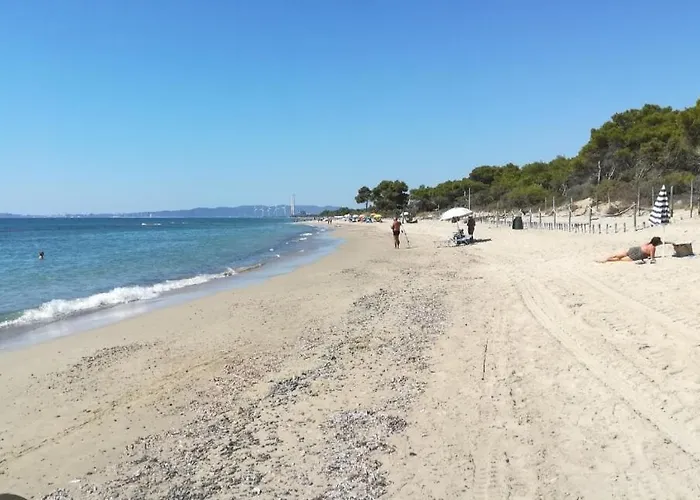 Monolocale Per Due Le Pinete A 아파트