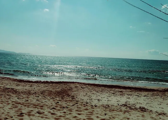 Monolocale Per Due Le Pinete A 아파트